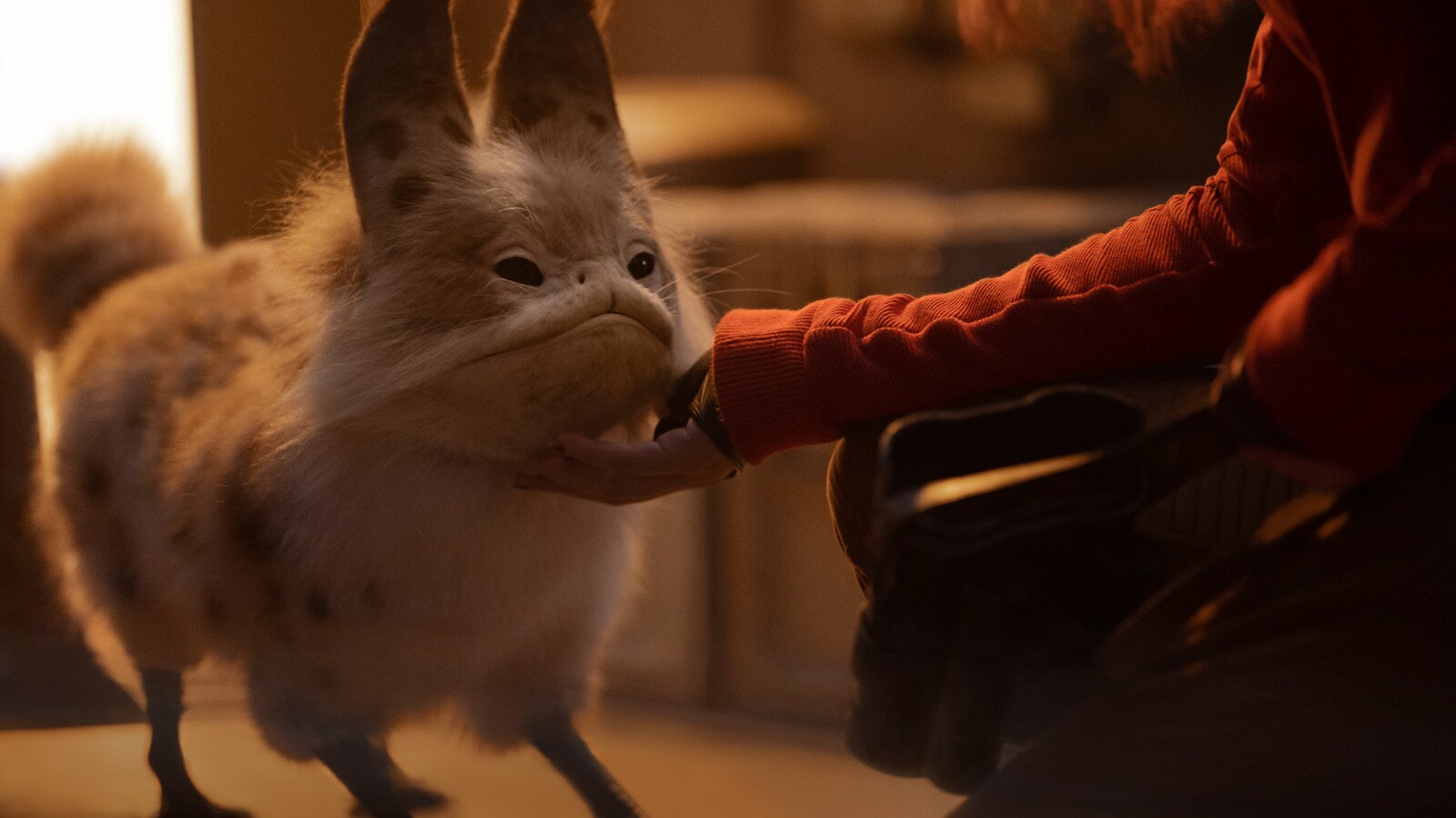Loth-cats