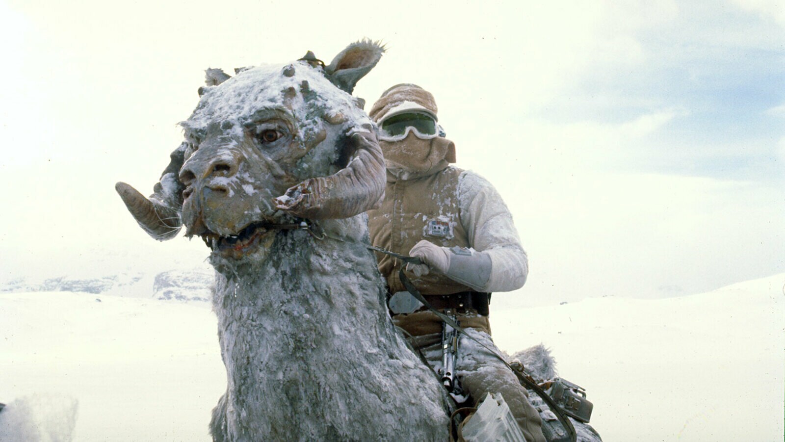 Tauntauns